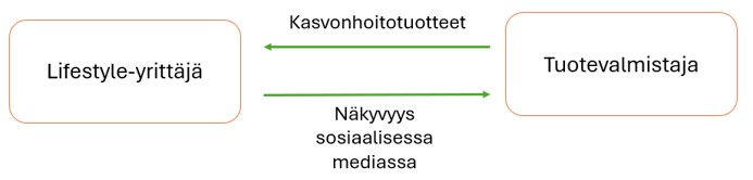 Esimerkkiä havainnollistava kaaviokuva